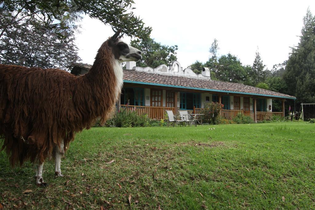 Las Palmeras Inn Otavalo Eksteriør billede